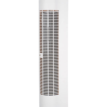 AeroFlow Misting Fan